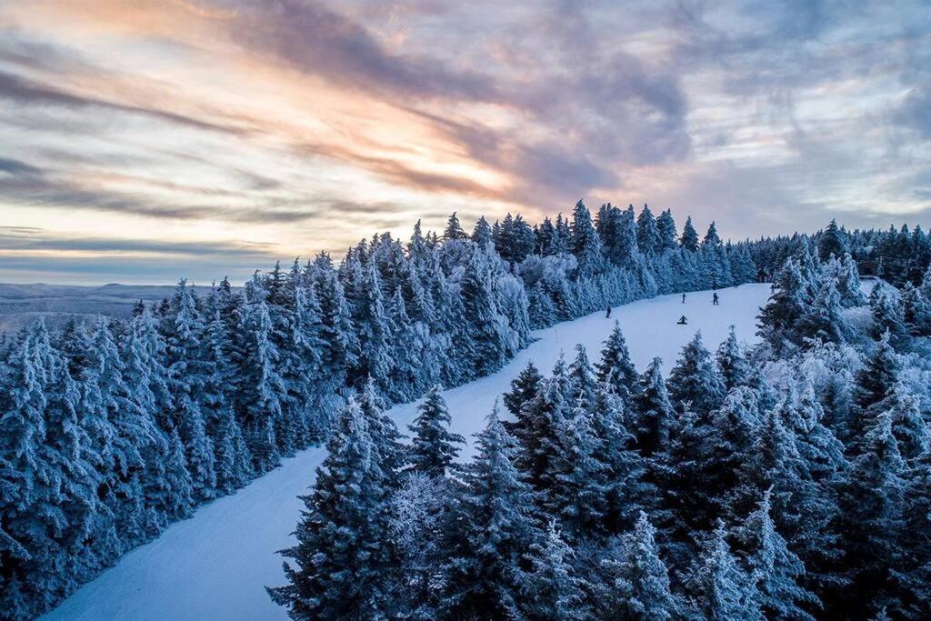 Mountain Lodge Getaway, Ski-In/Ski-Out, Heart Of The Village スノーシュー エクステリア 写真